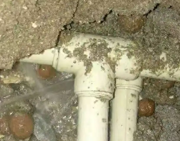 曹县测漏水多少钱