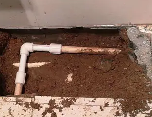 曹县测漏水哪家好