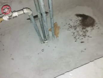 曹县卫生间测漏水价格明细