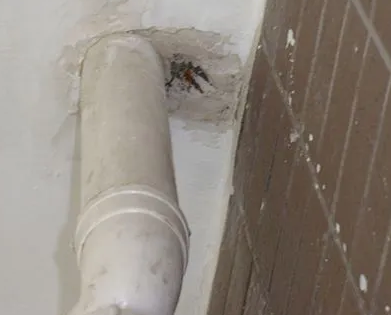 曹县漏水检测哪家好